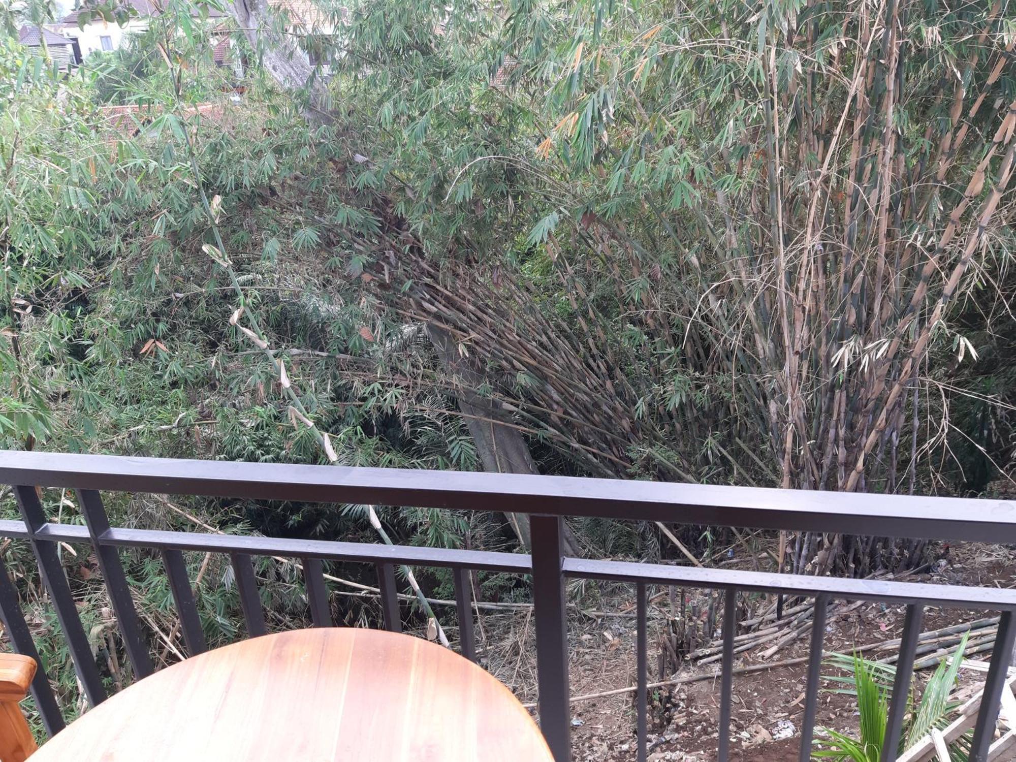 Patra House Apartment อูบุด ภายนอก รูปภาพ