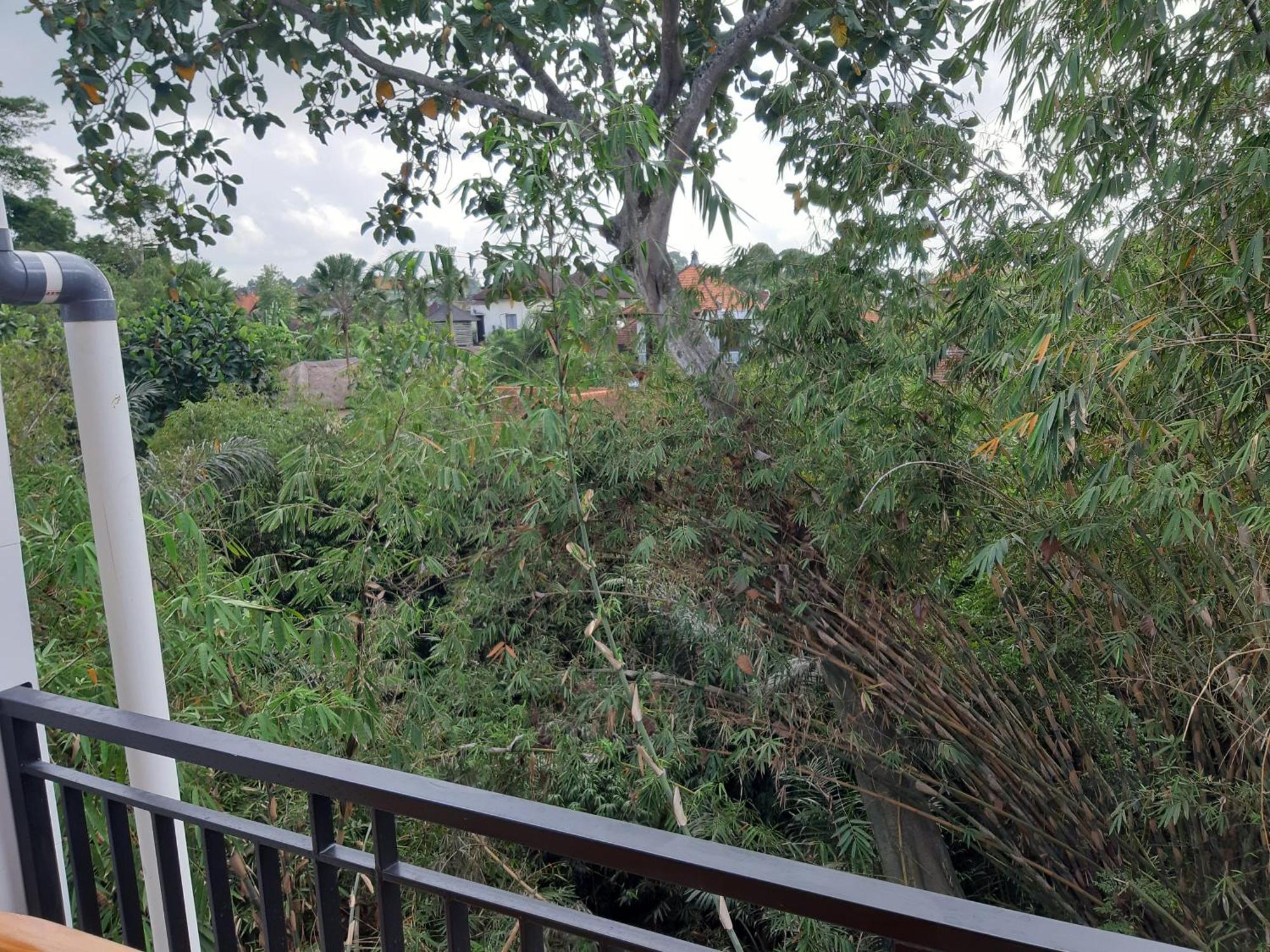 Patra House Apartment อูบุด ภายนอก รูปภาพ
